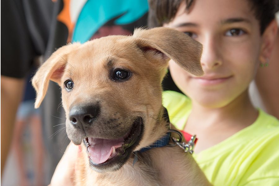 Special Olympics Miami Dade County Empowering Lives Through Inclusive Sports and Programs