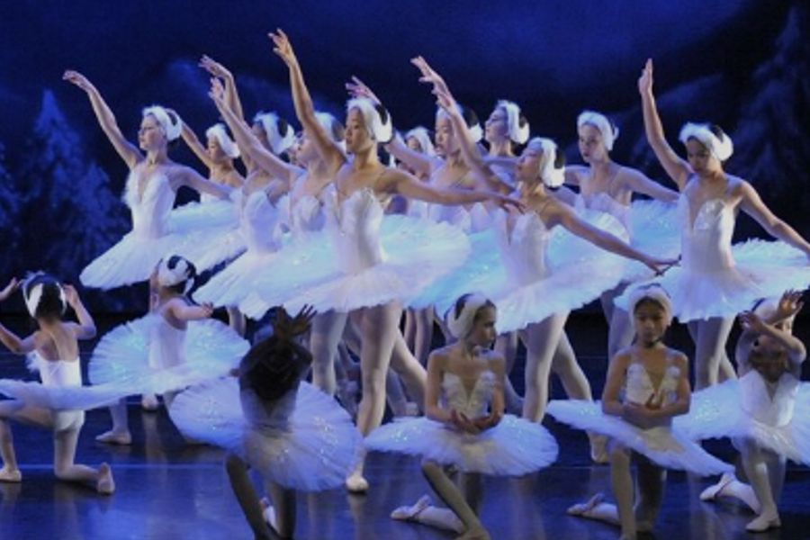 Ballet visual data 5